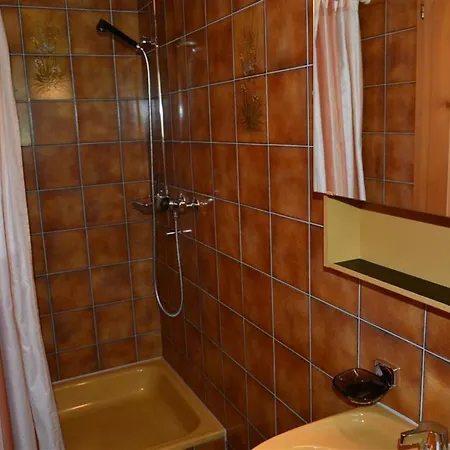 Akelei - Gross By Interhome Zweisimmen