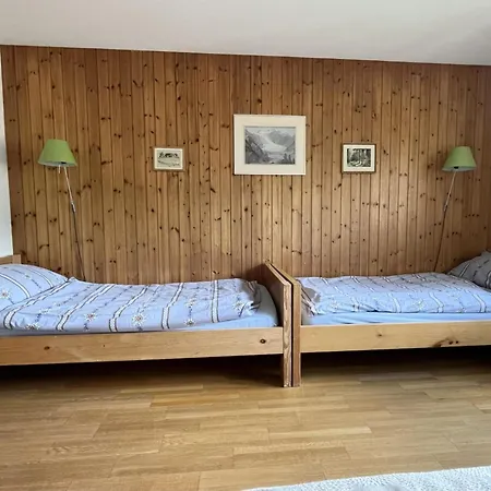 Akelei - Gross By Interhome ツヴァイジンメン